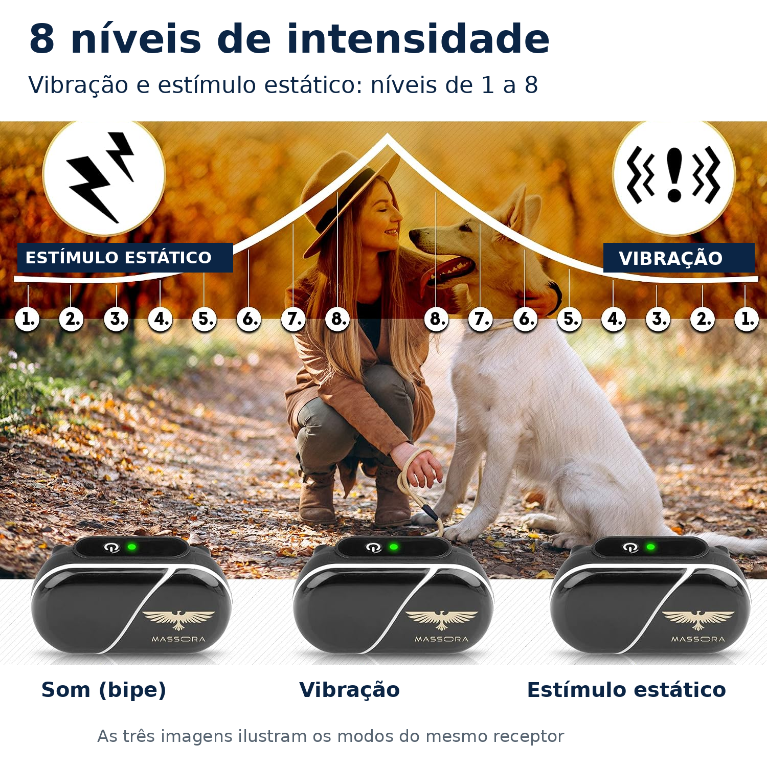 Coleira Eletrônica de Adestramento MASSORA 610 m com Controle Remoto - 3 Modos: Som, Vibração e Choque Estático - Receptora Resistente à Água e Recarregável - Foto 3