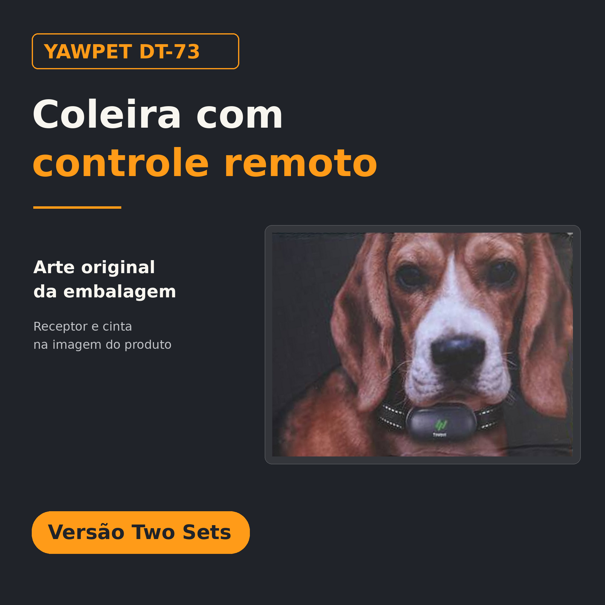 YAWPET DT-73 - Contexto editorial