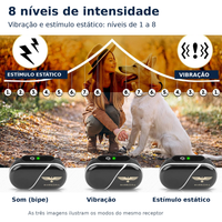 Coleira Eletrônica de Adestramento MASSORA 610 m com Controle Remoto - 3 Modos: Som, Vibração e Choque Estático - Receptora Resistente à Água e Recarregável - Foto 3